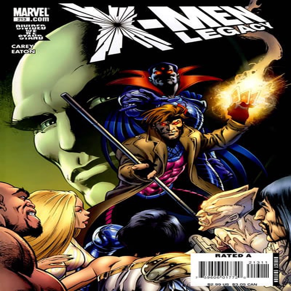 X-Men: Legacy #213 (VF/NM)